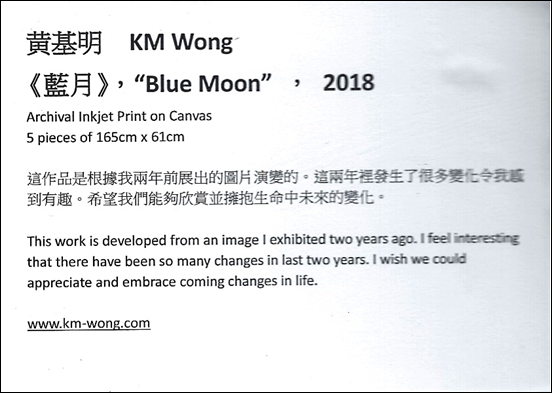 photo of artist statment exhibited