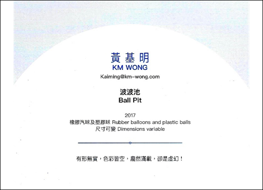 photo of artist statment exhibited